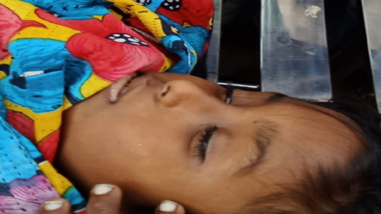 যশোরে সাপের কামড়ে  কওমি মাদ্রাসা শিক্ষার্থীর মৃত্যু,