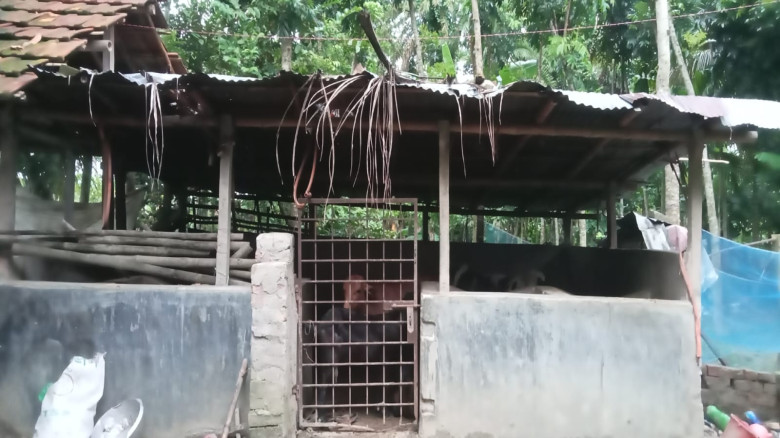 ভাইয়ের বাড়িতে সংগ্রামী জীবন স্বামী পরিত্যক্তা নারী...