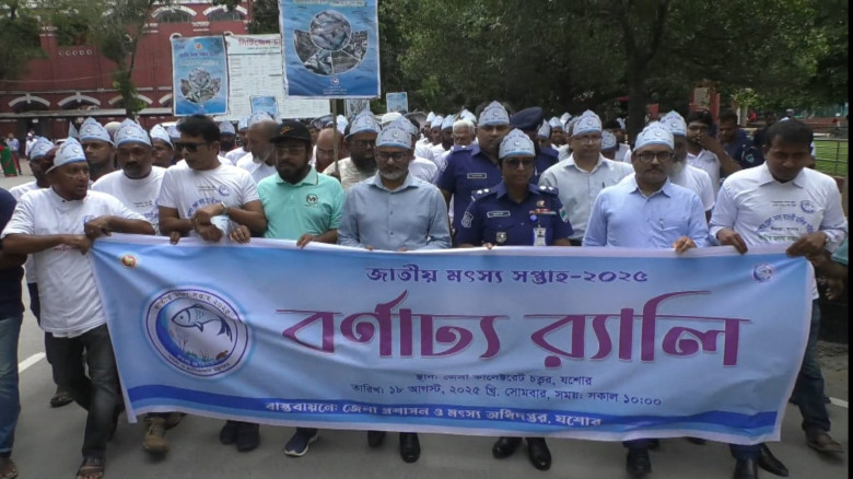 যশোরে জাতীয় মৎস্য সপ্তাহ উপলক্ষে র‌্যালী ও আলোচনা সভা অনুষ্ঠিত
