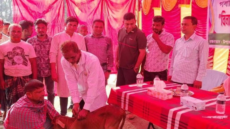 শার্শায় গবাদি পশুর এলএসডি রোগের বিনামুল্যে ভ্যাকসিনেশন ক্যাম্পইন অনুষ্ঠিত