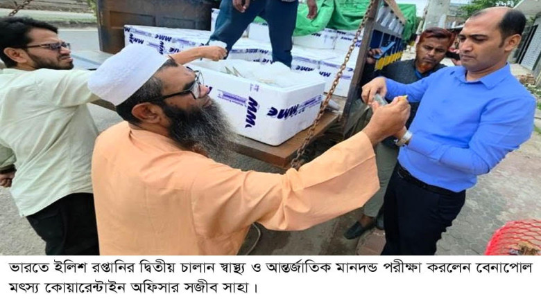 দুর্গাপূজা উপলক্ষে বেনাপোল স্থলবন্দর দিয়ে ভারতে গেলো দ্বিতীয় চালানে ১৮.৭৯ মেঃ টন ইলিশ