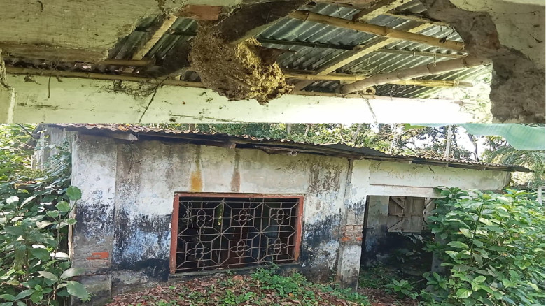 কার্যক্রম বন্ধ ১০ বছর, অফিস জরাজীর্ণ, তবুও নির্বাচন পর্যবেক্ষকের তালিকায় মনিরামপুরের 'সিড'