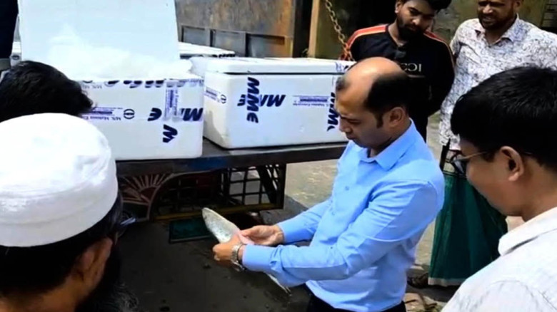 দুর্গাপূজা উপলক্ষে ৮ দিনে ভারতে গেল ১০২.২১৪ মেট্রিকটন ইলিশ