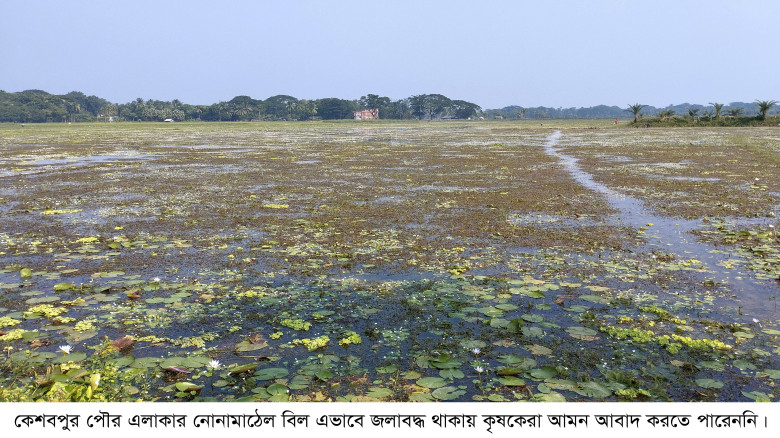 কেশবপুরে ভবদহের প্রভাবে ১৮ হাজার বিঘা জমি অনাবাদি