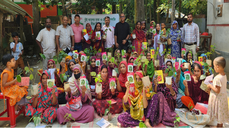 যশোরের বাঘারপাড়ায় ব্র্যাকের উদ্যোগে চুইঝাল চারা ও সবজির বীজ বিতরণ