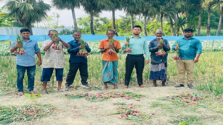 কেশবপুরে প্রণোদনার গ্রীষ্মকালীন পেঁয়াজ চাষে উচ্চ ফলনে লাভবান কৃষকেরা