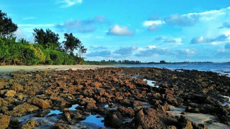 নভেম্বর থেকে সেন্টমার্টিনে যেতে পারবেন পর্যটকরা