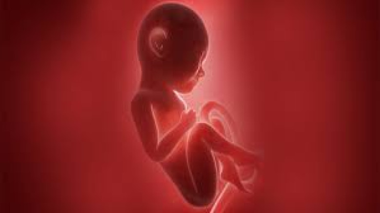 ভ্রুনো হত্যায় স্বামী, শ্বশুর ও শাশুড়ির বিরুদ্ধে মামলা