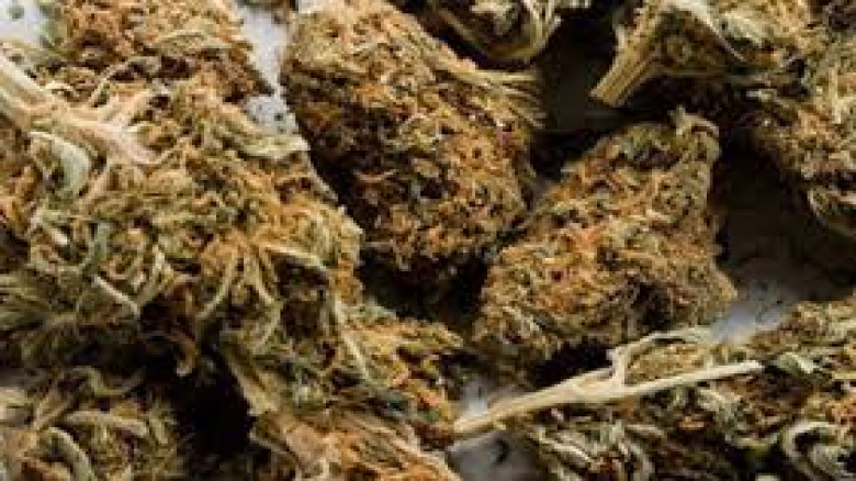 যশোরে গাঁজাসহ আটক ৪ মাদক ব্যবসায়ীর বিভিন্ন মেয়াদে কারাদন্ড