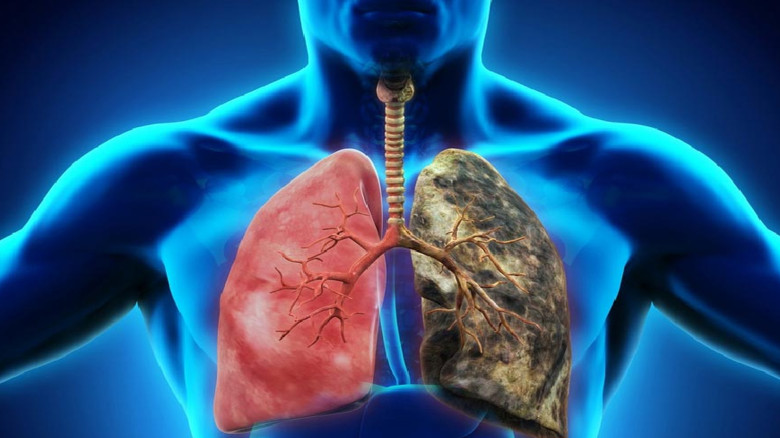 ফুসফুস ভালো রাখার ঘরোয়া ১০ উপায়