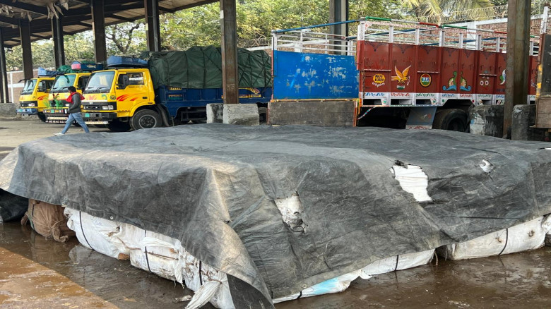 বেনাপোল বন্দরে ৫৩ কাটুন  ইলিশ আটক