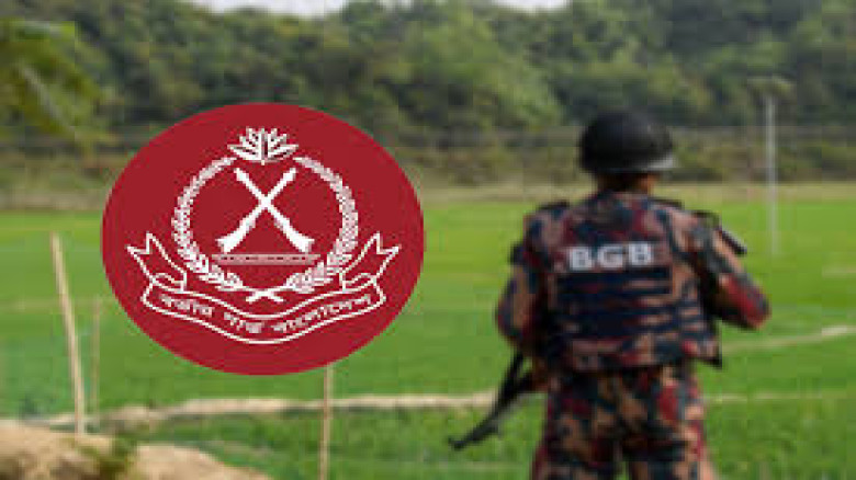 বেনাপোল সীমান্তে বিজিবির অভিযানে পৌনে ২ লাখ টাকার চোরাচালানি পণ্য জব্দ