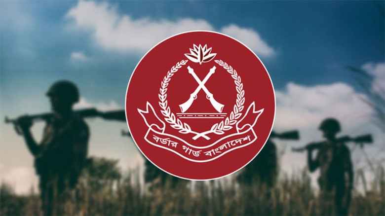 নির্বাচনী মাঠে নামল বিজিবি: তিন জেলায় ৩০ প্লাটুন সদস্য মোতায়েন