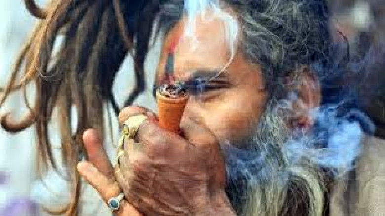 যশোরে ২ কেজি গাঁজাসহ মাদক ব্যবসায়ী শাহানার আটক, ছে...