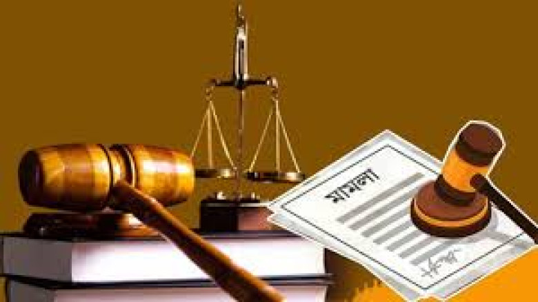 যশোরে মারপিটের অভিযোগে ছেলের বিরুদ্ধে আদালতে মায়ের মামলা