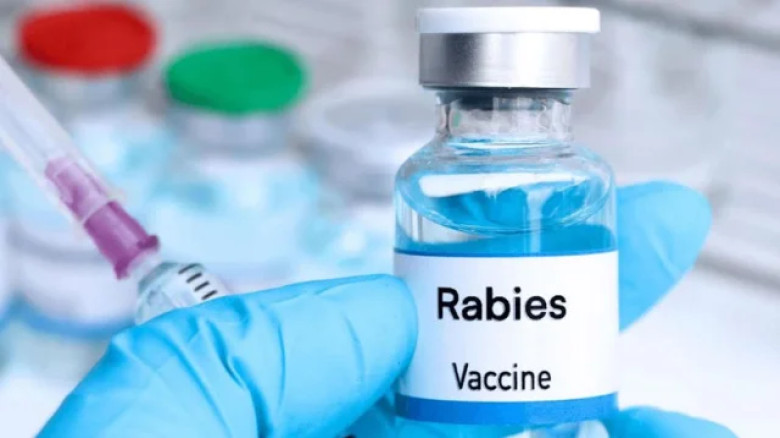 ছবির ক্যাপশন: 