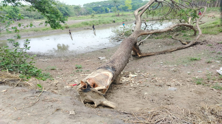 যশোরে দলিত জনগোষ্ঠীর মানববন্ধন