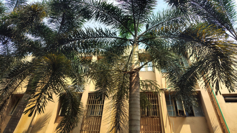 ছবির ক্যাপশন: 