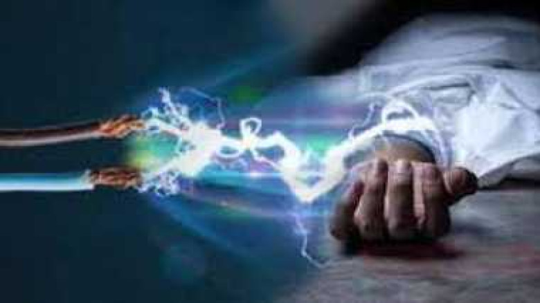 বিজিবি’র অভিযান: ৩০ বোতল ভারতীয় মদ উদ্ধার