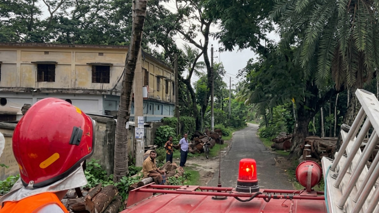 যশোরে ৩০ ফুট উঁচু খেজুর গাছ থেকে বিড়াল উদ্ধার করল ফায়ার সার্ভিস