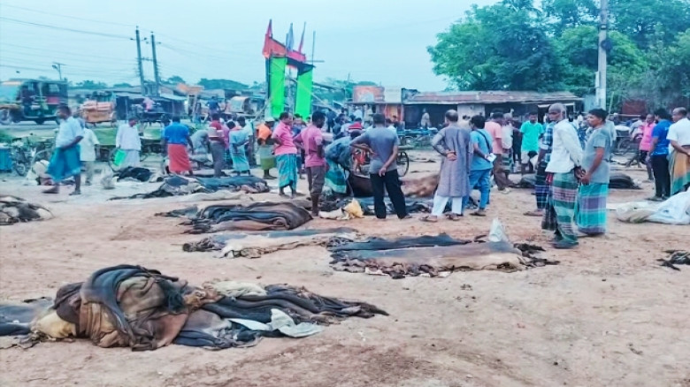 রাজারহাটে চামড়াবাজারে মন্দা, ‘লাম্পিস্কিন-পক্স’ অজুহাতে দাম কমানোর অভিযোগ