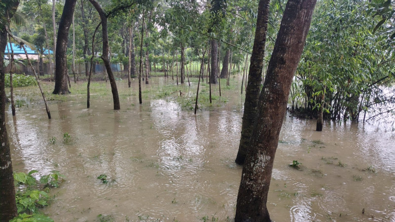 ছবির ক্যাপশন: 