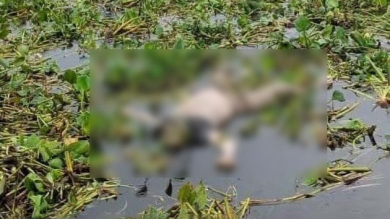 যশোর সদর হাসপাতালে রোগীদের জন্য ফ্যান, হুইলচেয়ার-ট্রলি ও বিভিন্ন সহায়তা বিতরণ