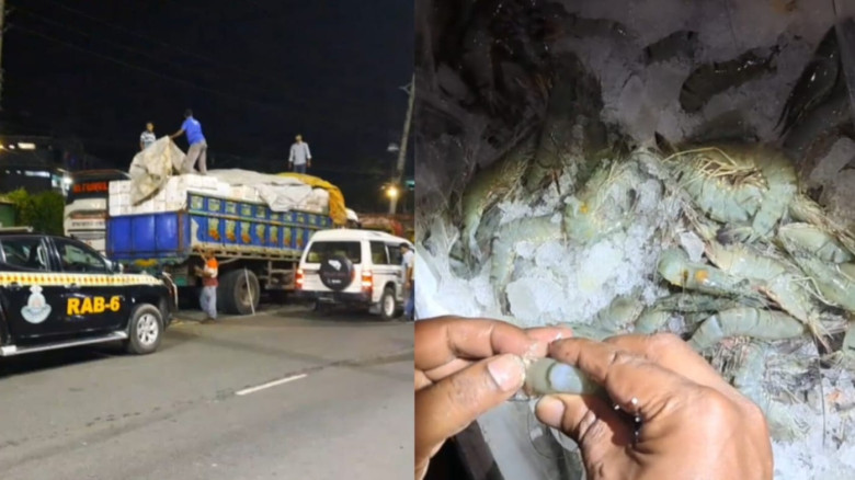 যশোরে র‌্যাবের অভিযান: ৩৭ কেজির বেশি জেলি পুশকৃত চিংড়ি জব্দ