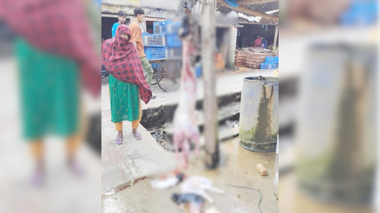 কেশবপুরে গর্ভবতী ছাগল জবাই করে মাংস বিক্রির চেষ্টা, কসাই পলাতক